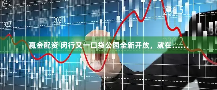 赢金配资 闵行又一口袋公园全新开放，就在……